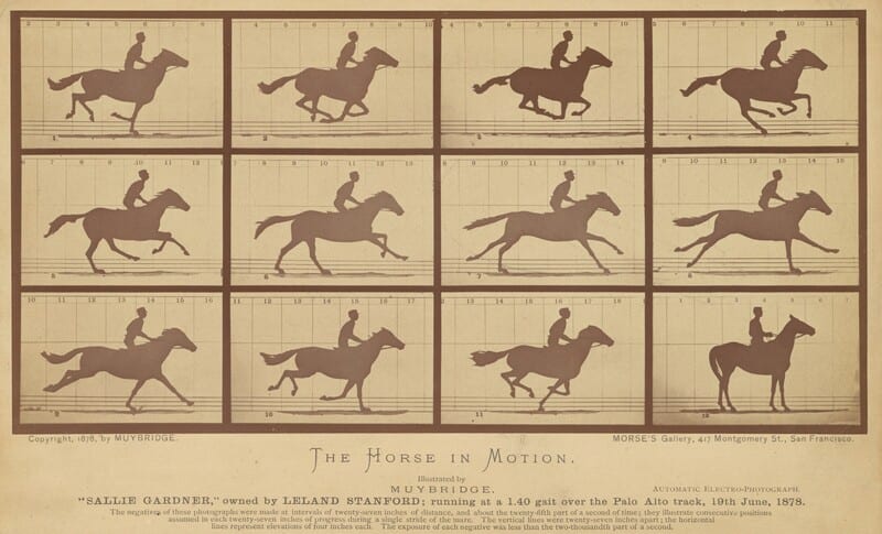 Eadweard Muybridge, The Horse in Motion: twelve sequential frames of a galloping horse
